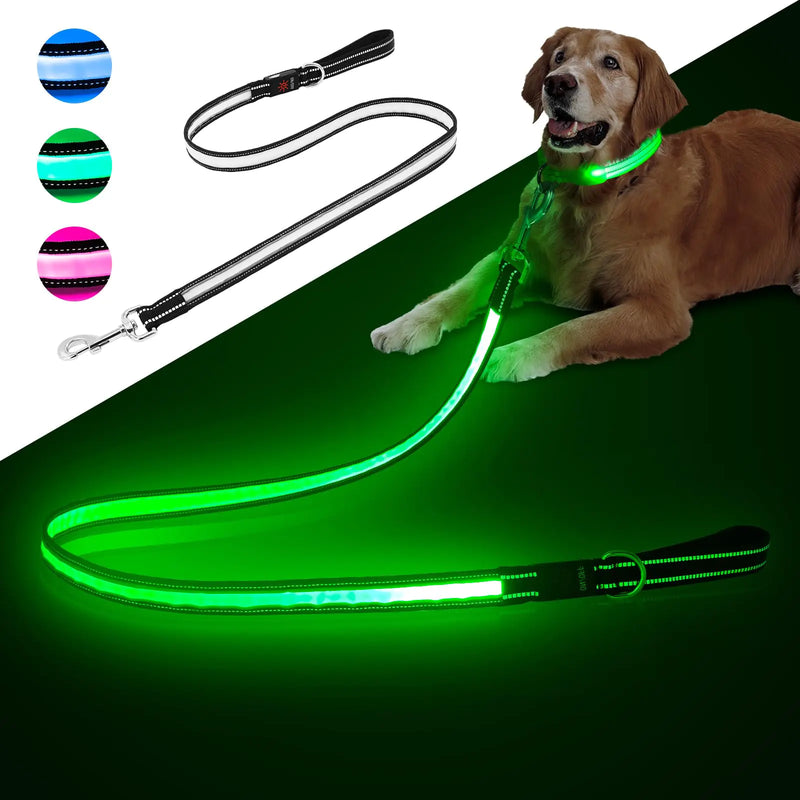 Light Up Dog Leash Multi-Color